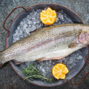 Raw trout fish on ice with rosemary and lemon over stone dark background , top view